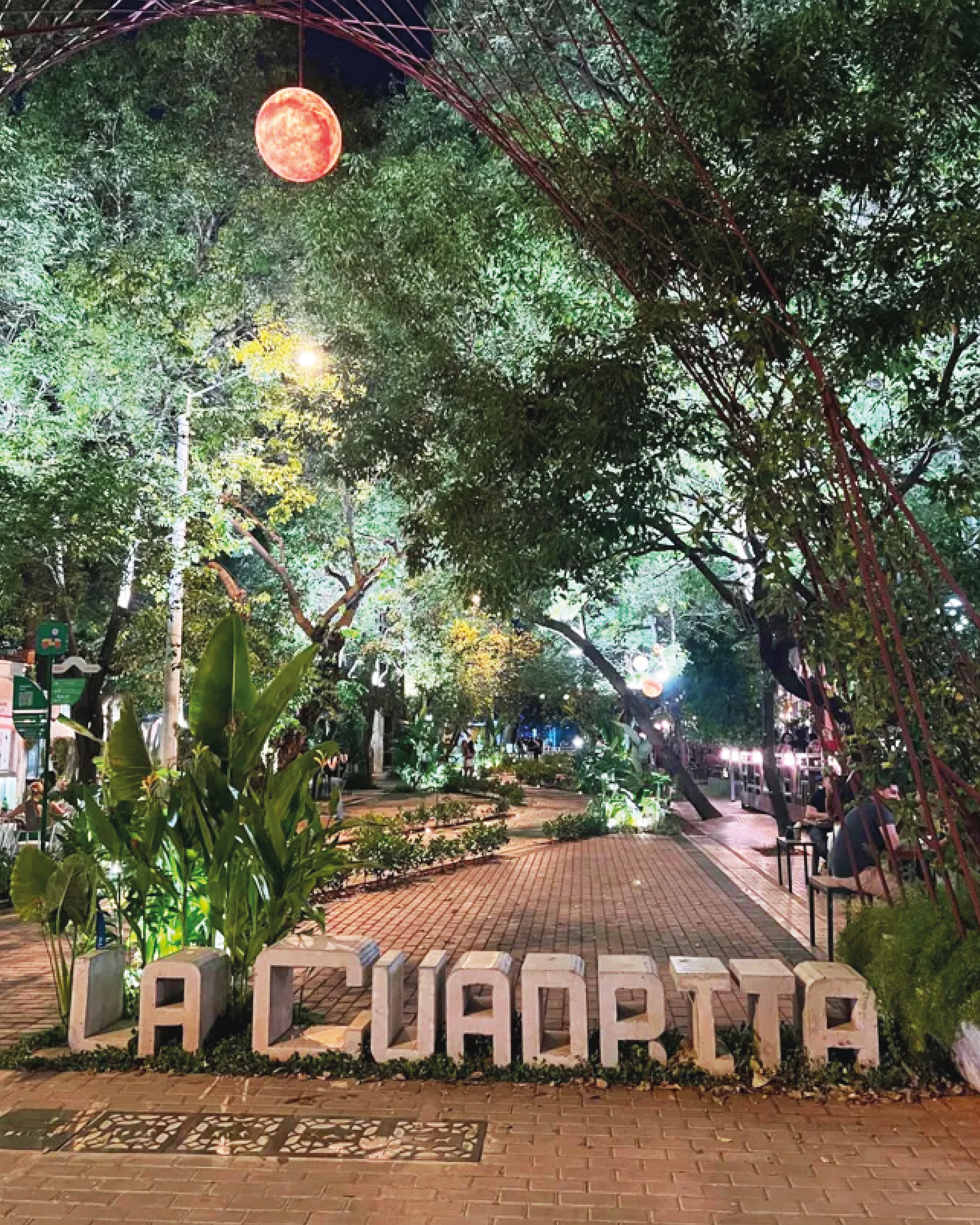 carrusel para web-05(1)