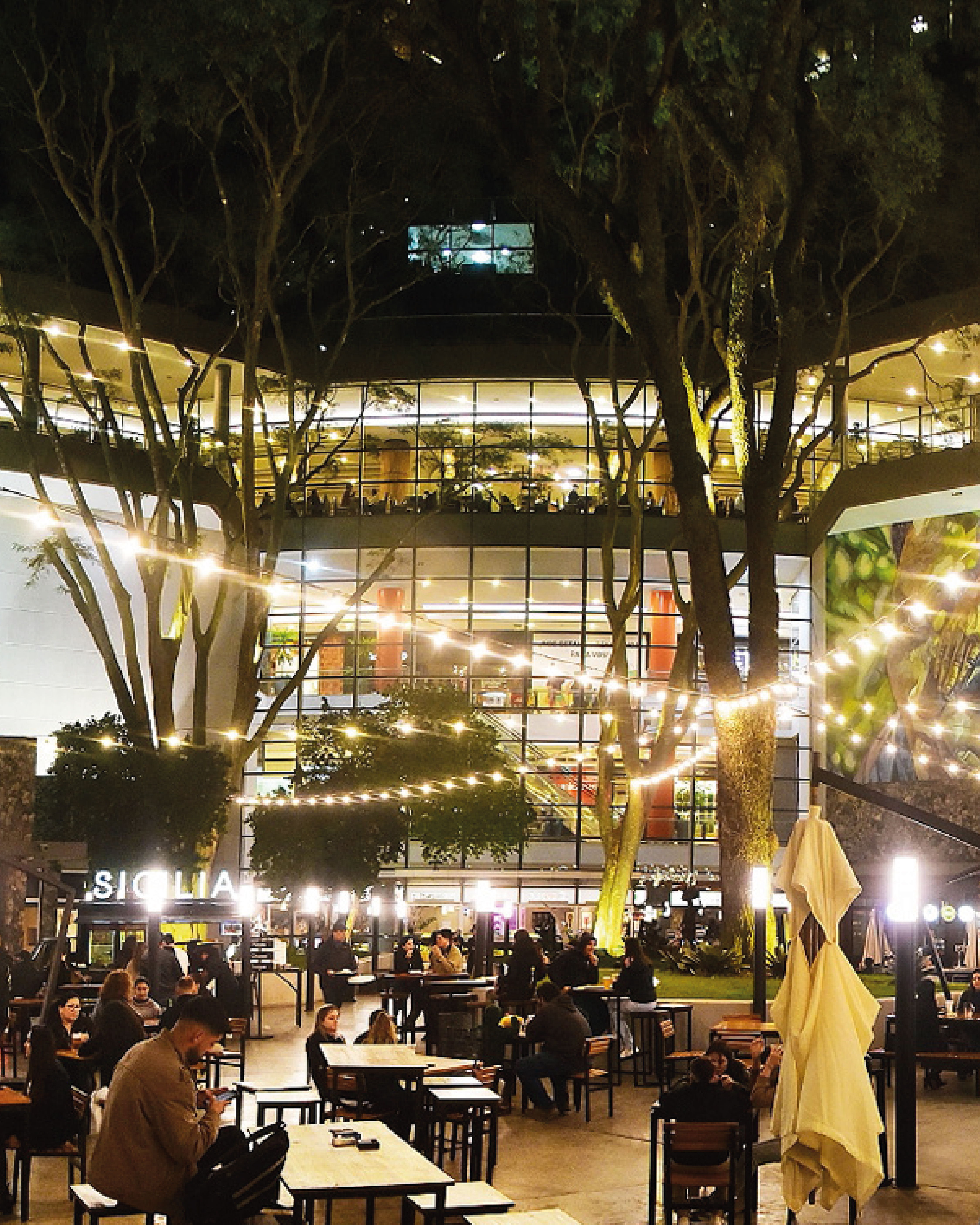 carrusel para web-06