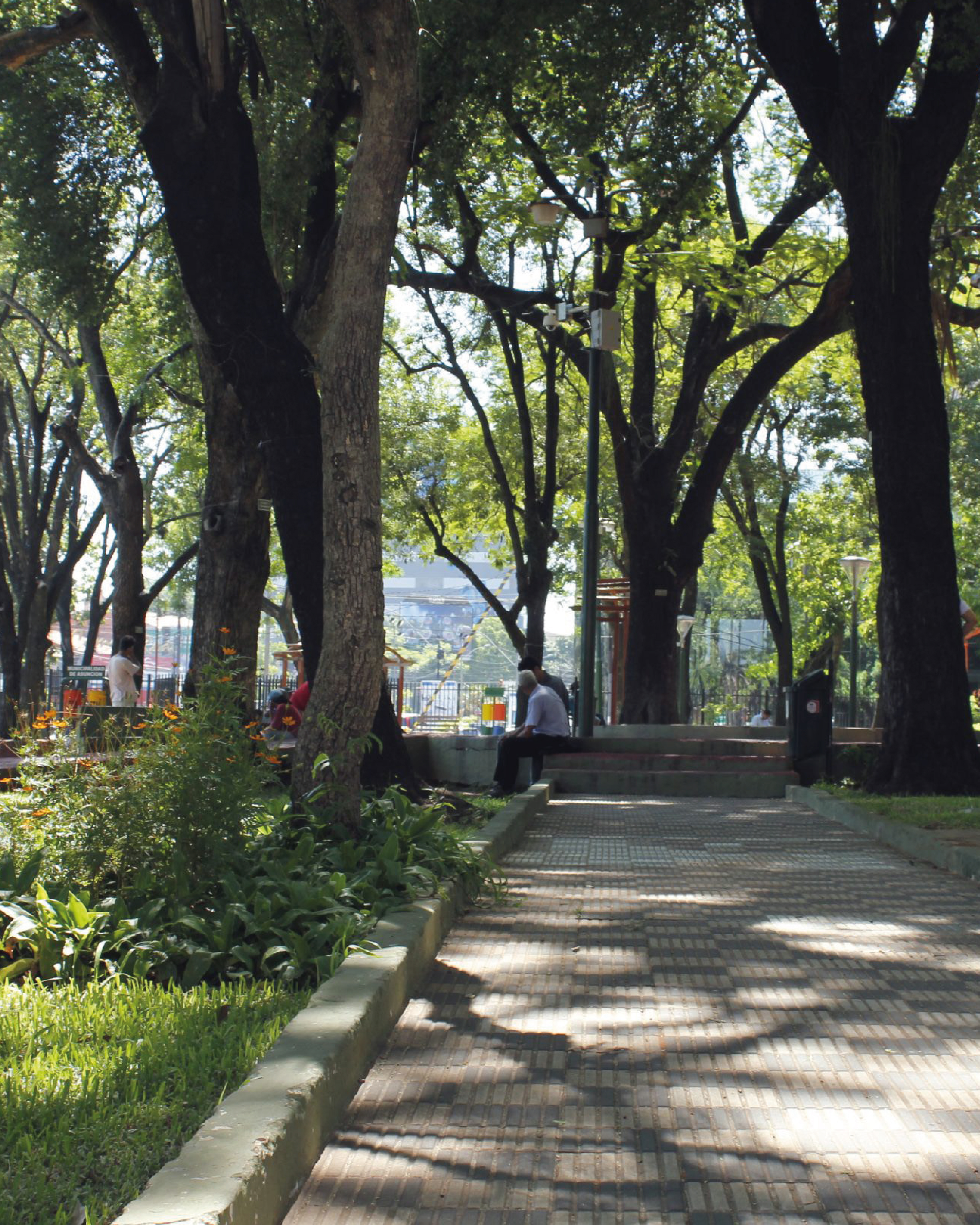 carrusel para web-07