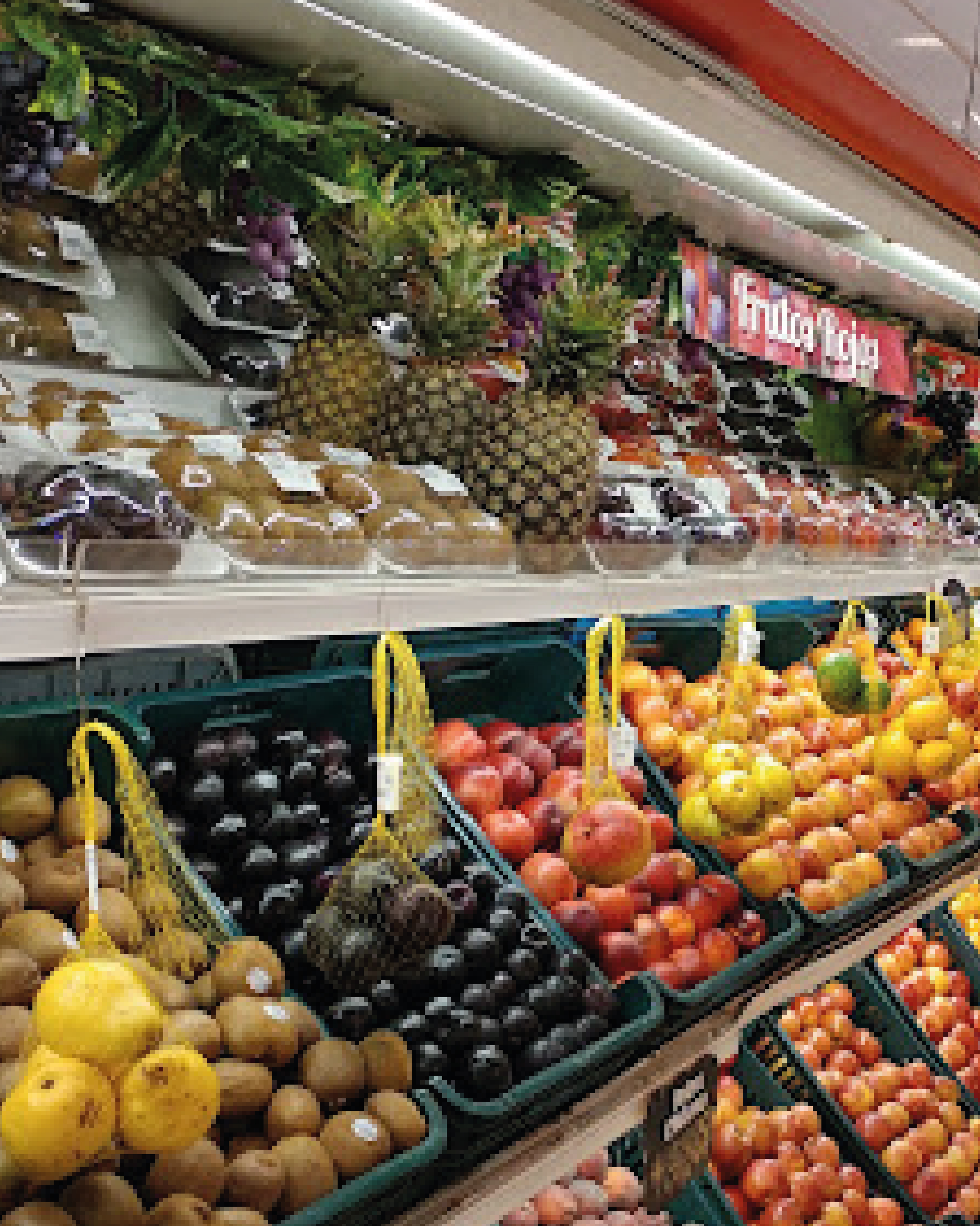 carrusel para web-08(1)